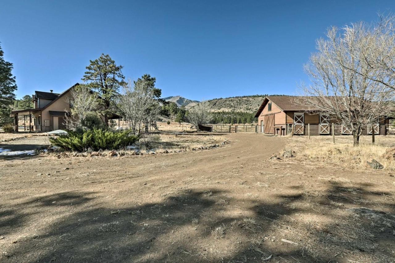 Family Home In Flagstaff With Surrounding Mtn Views! Dış mekan fotoğraf